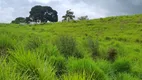 Foto 29 de Fazenda/Sítio à venda, 200000m² em , Monte Alegre