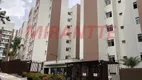 Foto 7 de Apartamento com 2 Quartos à venda, 50m² em Vila Amélia, São Paulo