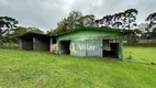 Foto 16 de Fazenda/Sítio com 4 Quartos à venda, 72600m² em Palmitalzinho, Quatro Barras