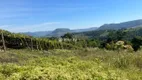 Foto 38 de Lote/Terreno à venda, 20000m² em Faria Lemos, Bento Gonçalves