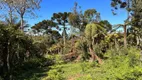 Foto 10 de Fazenda/Sítio à venda, 20000m² em , Urubici