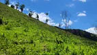 Foto 5 de Fazenda/Sítio à venda, 290000m² em Centro, Piranguçu