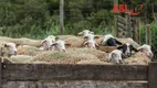 Foto 18 de Fazenda/Sítio à venda, 600000m² em Centro, Soledade de Minas