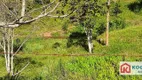 Foto 5 de Fazenda/Sítio à venda, 1754000m² em Putim, São José dos Campos