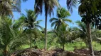 Foto 5 de Fazenda/Sítio com 3 Quartos à venda, 40000m² em Centro, 