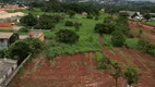 Foto 22 de Lote/Terreno à venda, 10000m² em Chácara São Pedro, Aparecida de Goiânia