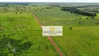 Foto 11 de Fazenda/Sítio à venda, 800m² em Zona Rural, Formoso do Araguaia