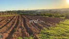 Foto 16 de Fazenda/Sítio com 3 Quartos à venda, 26455m² em Reforma Agraria, Valinhos