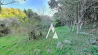Foto 9 de Lote/Terreno à venda, 3028m² em Panoramico, Garopaba