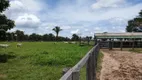 Foto 18 de Fazenda/Sítio com 2 Quartos à venda, 350m² em Zona Rural, São Geraldo do Araguaia