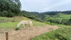 Foto 10 de Fazenda/Sítio com 2 Quartos à venda, 150000m² em Centro, Alfredo Wagner