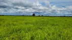 Foto 9 de Fazenda/Sítio à venda, 6135000m² em Zona Rural, Santo Antônio do Leverger