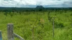 Foto 67 de Fazenda/Sítio com 3 Quartos à venda, 70m² em Zona Rural, João Pinheiro