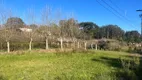 Foto 5 de Lote/Terreno à venda em , Bento Gonçalves