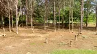 Foto 64 de Fazenda/Sítio com 2 Quartos à venda, 60m² em Aparecidinha, Sorocaba