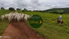 Foto 6 de Fazenda/Sítio à venda, 20812000m² em Zona Rural, Rubiataba