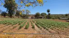 Foto 12 de Fazenda/Sítio à venda, 1230000m² em Centro, Jequitibá