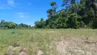 Foto 4 de Fazenda/Sítio com 1 Quarto à venda, 46000m² em Trancoso, Porto Seguro