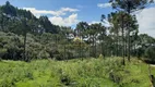 Foto 9 de Fazenda/Sítio à venda, 20000m² em Centro, Rio Rufino