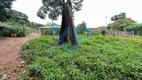 Foto 20 de Fazenda/Sítio com 3 Quartos à venda, 80m² em Zona Rural, São Sebastião do Oeste