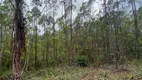 Foto 8 de Fazenda/Sítio à venda, 300000m² em Zona Rural, Santa Teresa