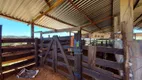 Foto 26 de Fazenda/Sítio à venda, 100188m² em Zona Rural, Santo Antônio de Posse