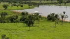 Foto 27 de Fazenda/Sítio com 3 Quartos à venda, 977000m² em Zona Rural, Nova Crixás