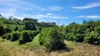 Foto 9 de Fazenda/Sítio com 1 Quarto à venda, 300000m² em Zona Rural, Carmo do Rio Claro