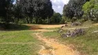 Foto 9 de Fazenda/Sítio à venda, 750000m² em Zona Rural, Presidente Figueiredo