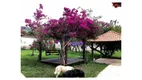 Foto 6 de Fazenda/Sítio com 3 Quartos à venda, 80m² em Granjas Mirassol Pachecos, Itaboraí