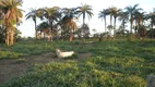 Foto 8 de Fazenda/Sítio à venda, 2800000m² em Rural, Abaeté