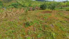 Foto 11 de Fazenda/Sítio à venda, 3000m² em Campestre da Faxina, São José dos Pinhais
