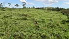 Foto 34 de Fazenda/Sítio com 2 Quartos à venda, 470000m² em Corrego Rico, Planaltina