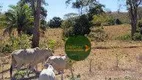 Foto 16 de Fazenda/Sítio com 2 Quartos à venda, 6050000m² em Zona Rural, Planaltina