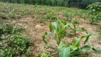 Foto 2 de Fazenda/Sítio com 3 Quartos à venda, 190000m² em Zona Rural, Cocalzinho de Goiás