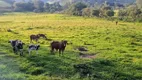 Foto 11 de Chácara com 3 Quartos à venda, 5000m² em , Cambuí