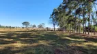 Foto 6 de Fazenda/Sítio à venda, 1000000m² em Zona Rural, Caçu