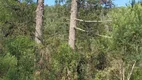 Foto 2 de Fazenda/Sítio à venda, 726000m² em Bateias, Campo Largo