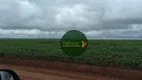 Foto 3 de Fazenda/Sítio à venda, 11000m² em Zona Rural, Rondonópolis