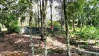 Foto 3 de Lote/Terreno à venda, 4250m² em Recanto Campo Verde, Campo Limpo Paulista