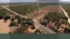 Foto 5 de Lote/Terreno à venda, 300m² em Lagoinha, Paraipaba