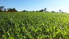 Foto 9 de Fazenda/Sítio com 1 Quarto à venda, 1100000m² em Zona Rural, São Gotardo