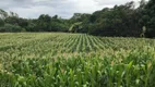 Foto 2 de Fazenda/Sítio à venda em Zona Rural, Francisco Sá