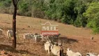 Foto 14 de Fazenda/Sítio à venda em Zona Rural, Doverlândia