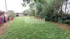 Foto 5 de Fazenda/Sítio com 2 Quartos à venda, 100m² em Chacaras Oliveiras, Uberlândia
