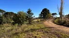 Foto 14 de Fazenda/Sítio à venda, 20000m² em Zona Rural, Urubici