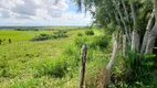 Foto 31 de Fazenda/Sítio com 2 Quartos à venda, 95000m² em Centro, São Miguel de Taipu