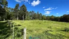 Foto 2 de Fazenda/Sítio com 1 Quarto à venda, 20000m² em São Victor Cohab, Caxias do Sul