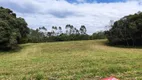 Foto 30 de Lote/Terreno à venda, 5000m² em Vila Delurdes, Campo Largo