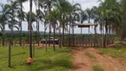 Foto 127 de Fazenda/Sítio com 5 Quartos à venda, 145000m² em Área Rural, Aragoiânia